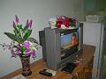 Thailand 2006 a013